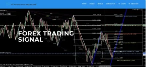 download forex trading nulled script, php project nulled
